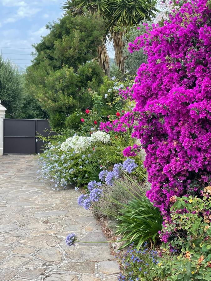 Les Trefles Daire Hyères Dış mekan fotoğraf